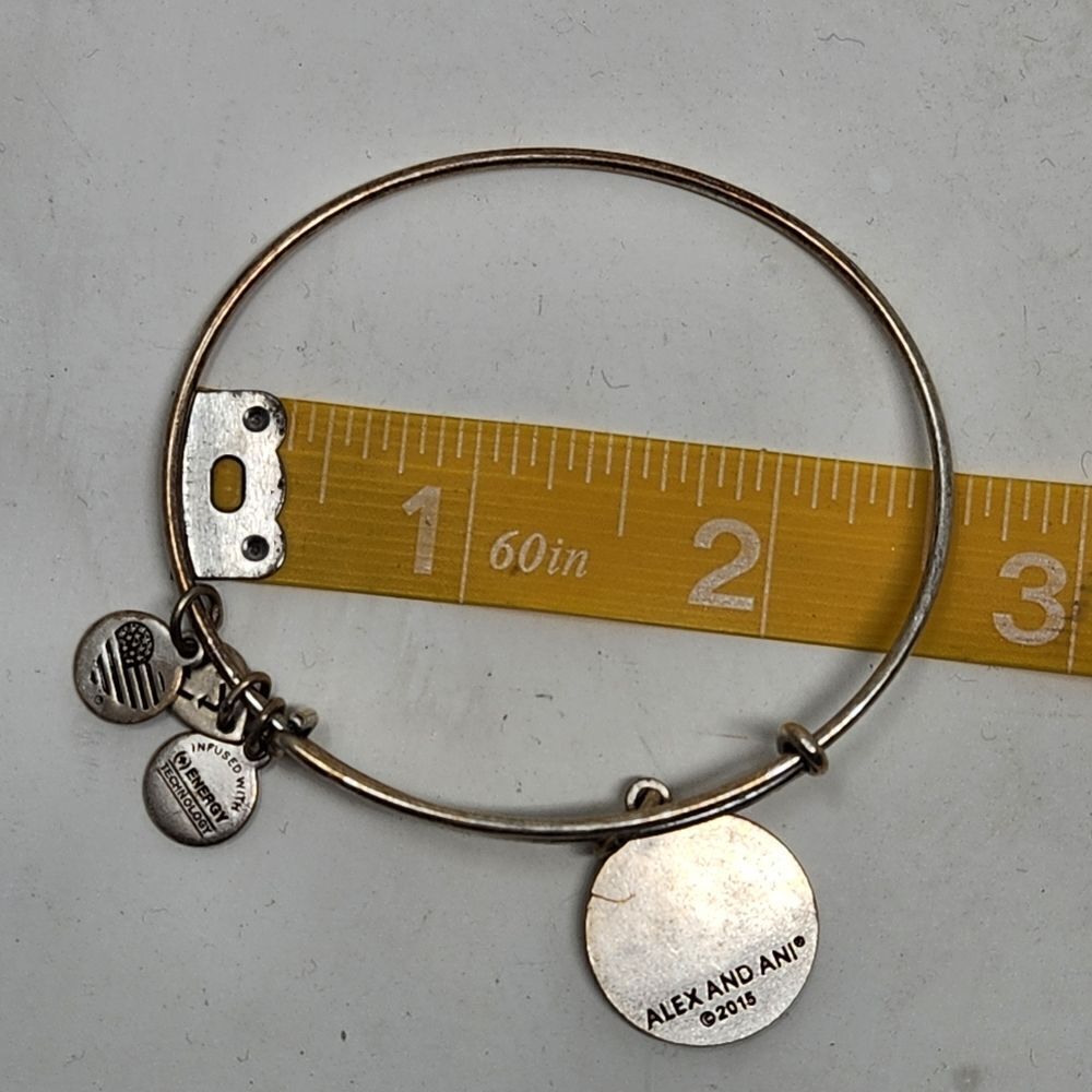 ALEX and ANI Las Vegas Bangle Bracelet Silver Tone - Picture 6 of 6